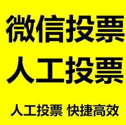襄阳市投票活动拉票能被查出来吗？如何操作能不被发现？
